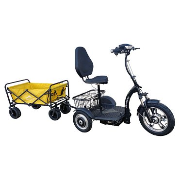 Электроскутер трицикл HEADWAY LUX DUAL TR 700W 15AH LiIon 