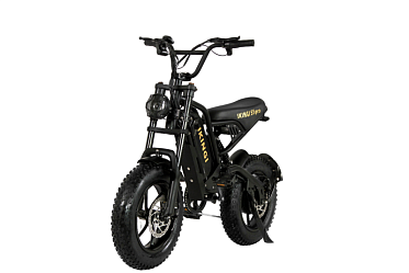 Электровелосипед Ikingi S5 PRO МINI 