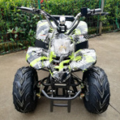Квадроцикл GreenCamel Gobi K50 (36V 800W R7 Цепной привод), Цвет: Зеленый экстрим, Батарея 12Ah SLA GEL Chilwee 