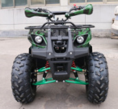 Квадроцикл GreenCamel Atakama T200 (48V 800W R8 Дифференциал), Цвет: Армейский зеленый, Батарея 20Ah SLA GEL 