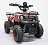 Электроквадроцикл Гоби K45 (Gobi K45) (36V 800W R6 Цепь) быстросъем, ножной тормоз 