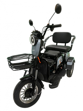 Трицикл GreenCamel Фродо Беркут (48V/60V 600W R8) дифференциал 