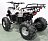 Электрический квадроцикл Атакама T220 (48V 1000W R8 Дифференциал) Gre2148