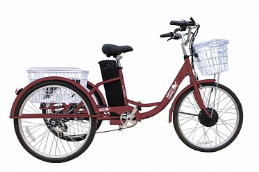 Электровелосипед GreenCamel Трайк-24 (R24 500W 48V 15Ah) Gre02591