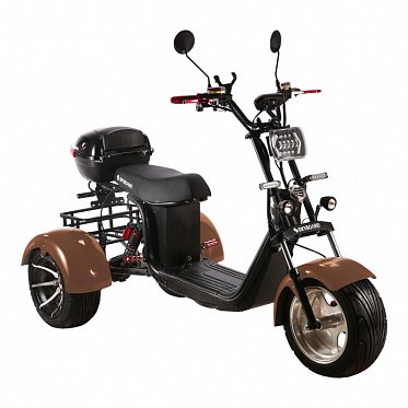 Электроскутер SKYBOARD TRIKE BR60-3000 PRO FAST 