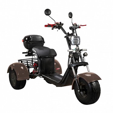 Электроскутер SKYBOARD TRIKE BR40-3000 PRO 