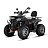 Бензиновый квадроцикл WHITE SIBERIA BARS 200CC PRO 
