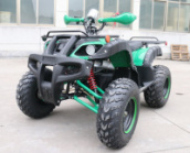 Квадроцикл GreenCamel Sahara A1500 (72V 1500W R10 Дифференциал), 42Ah Boston  12269,Зарядное устройство для литиевой батареи 10 А