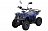 Электроквадроцикл SHERHAN -300LUX 
