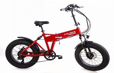 Электровелосипед Elbike matrix 350w 