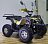 Электрический Квадроцикл SHERHAN 800 