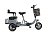 Трехколесный двухместный электровелосипед TRION Delta 04663