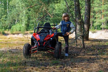 Багги SCANMOTO COBRA 