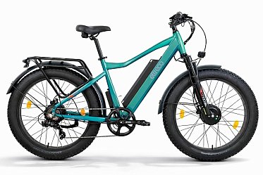 Электровелосипед Eltreco BigCat Dual Next PRO 026166