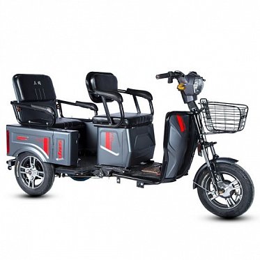 Электротрицикл E-trike Pass&Cargo 