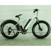 Электровелосипед El-sport bike TDE-08 500W белый