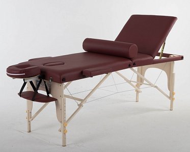 Складной массажный стол ErgoVita Master Plus бордовый ASK172519