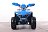 Электроквадроцикл Гоби K90 (48V 750W R7 Дифф) LUX Bluetooth 