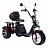 Электроскутер SKYBOARD TRIKE BR80 