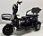 Трицикл GreenCamel Фродо SZBO (48V/60V 1000W R8) дифференциал 