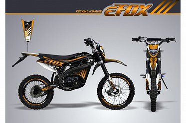 Электромотоцикл ELECTRON eFox 