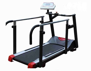 Беговая дорожка American Motion Fitness AMF 8230H без подвеса 901009008