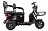 Электротрицикл Rutrike Трансформер 