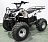 Электрический квадроцикл Атакама T220 (48V 1000W R8 Дифференциал) Gre2148